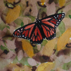 Transformation: Butterfly