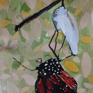 Transformation: Butterfly Emerges