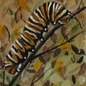 Transformation: Caterpillar