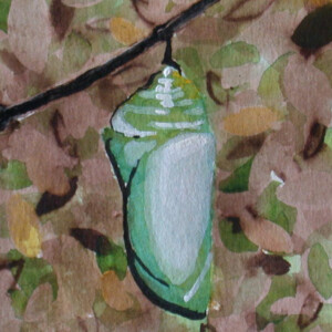 Transformation: Chrysalis