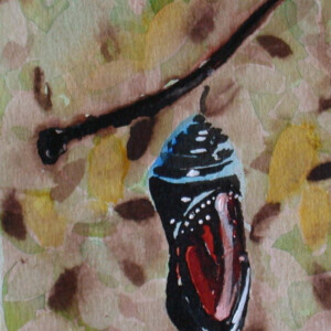 Transformation: Chrysalis II