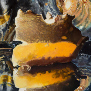 Astral Bodies: The Meringue Test Trials of 1994